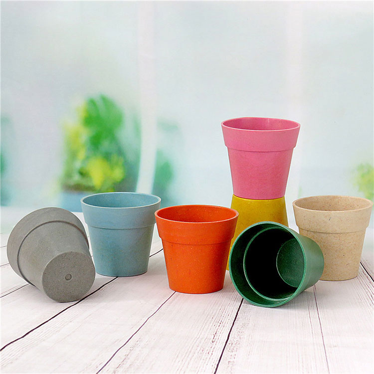 なぜ竹の繊維の植木鉢が人気の栽培容器になったのですか？